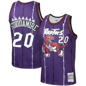 Comodo Damon Stoudamire Toronto Raptors 1995/96 Hardwood Classics Swingman Jersey Purple  per la Gara Importante